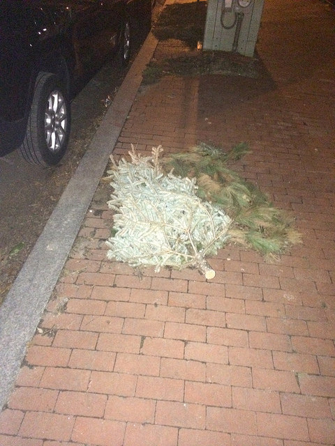 christmas_tree_gtown