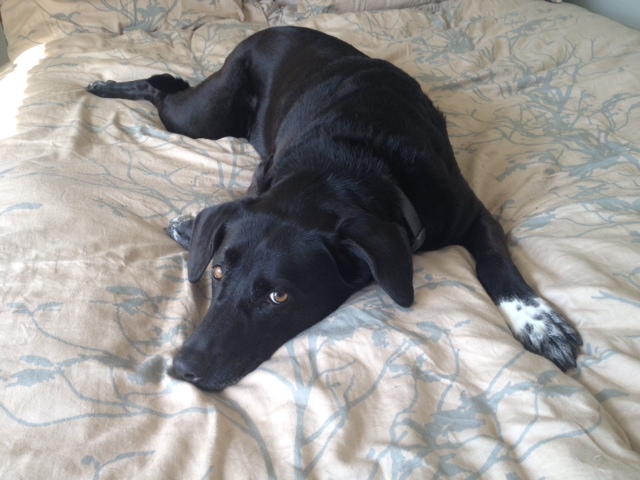 luckie