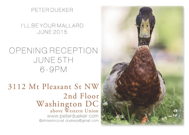 dueker_illbeyourmallard