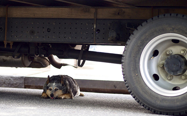 18415756973_826e3149ff_z