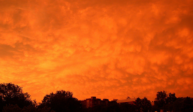 18480727603_fb1e0b2e87_z