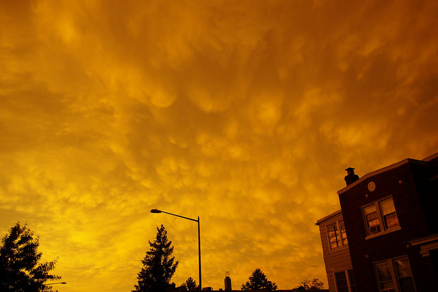 18913434920_ae594bd80d_z