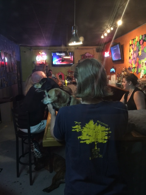 18965265110_7142cb2808_z