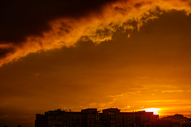 19101195745_8e693635d2_z