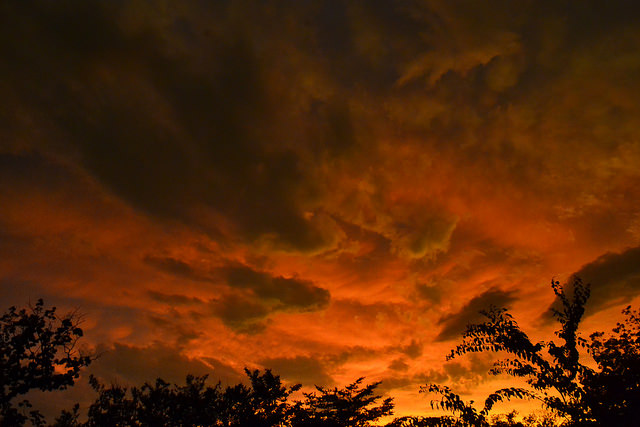 19107581401_0c6e911c1a_z