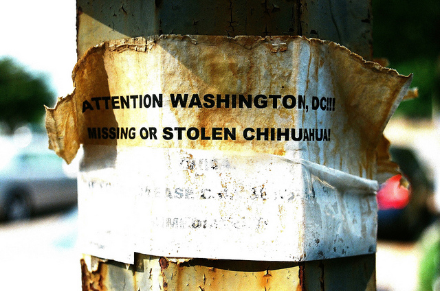 DC_neighborhood_news_popville