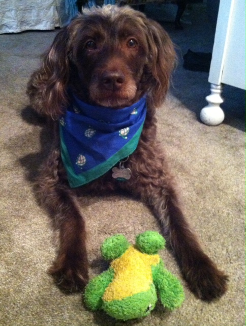 Rudygirl
