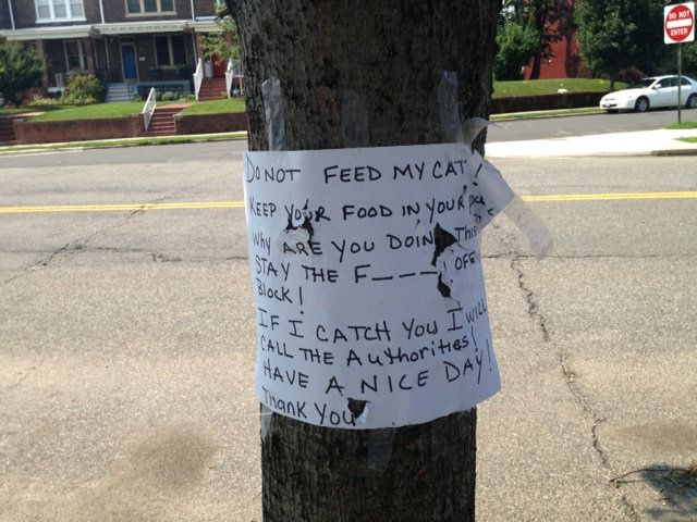 19167571800_a969b0b16b_z