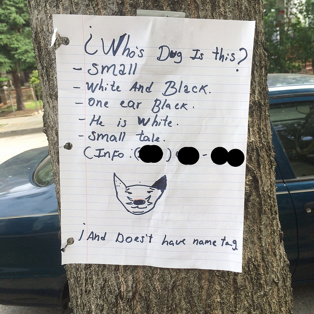 19504006660_3b24ee41d2_z