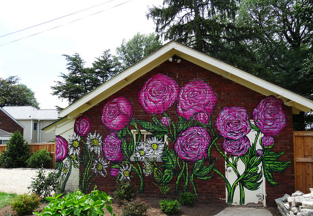 19548908962_d100560133_z