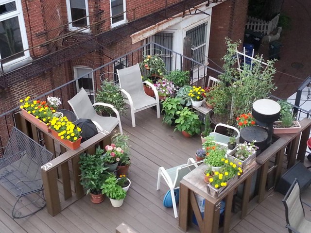 Garden 1