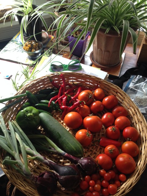 Garden Haul