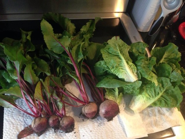 beets and lettuce
