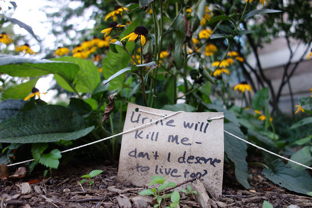dc_Neighborhood_news_popville