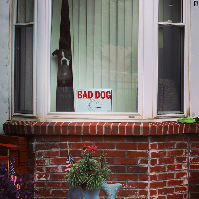 dc_neighborhood_news_popville