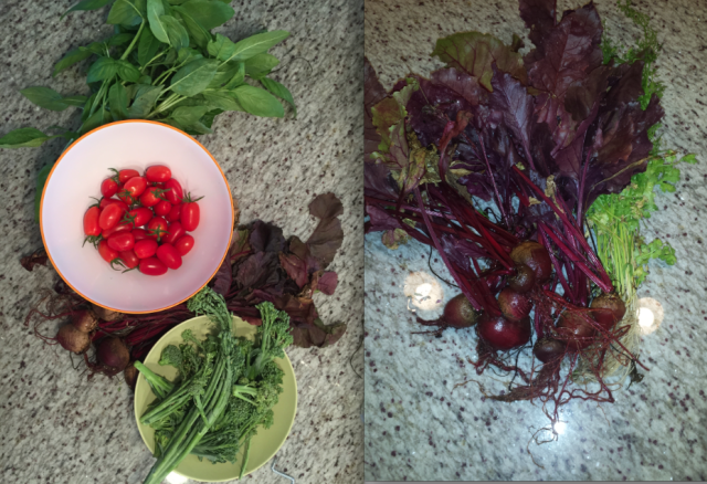 garden Haul