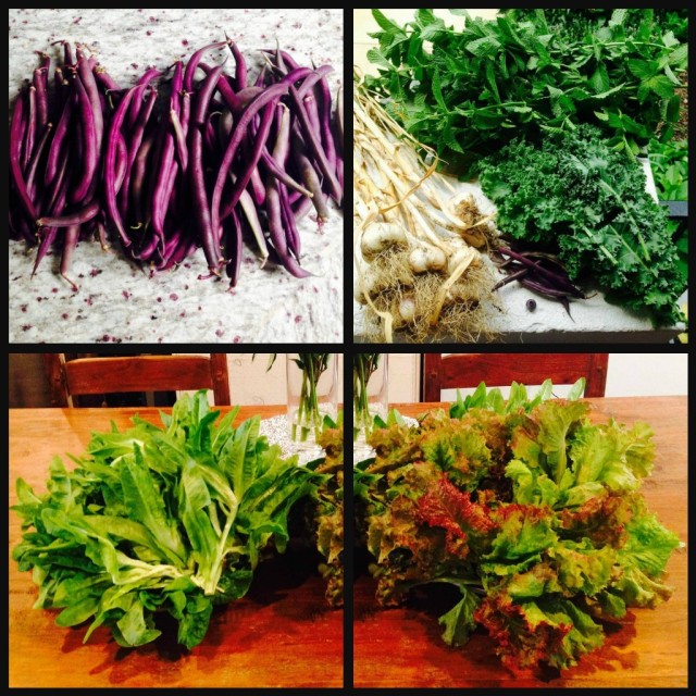 one week's June harvest