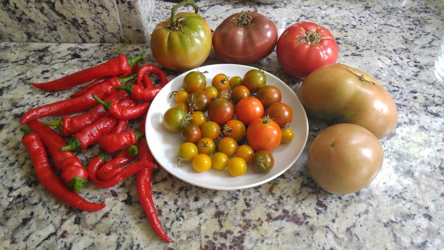 Jim's Garden Haul