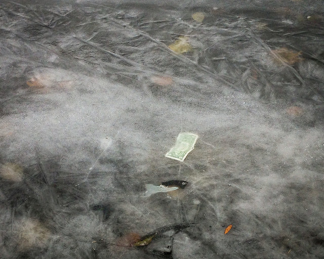 dollar