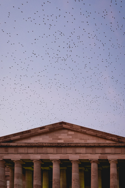 swarm