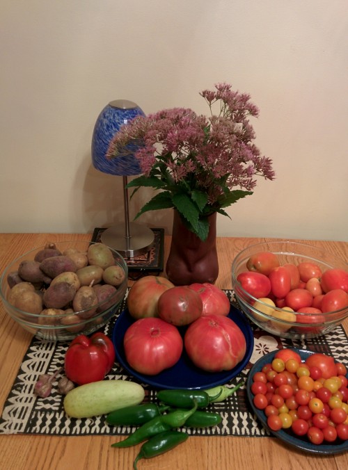 AugGardenHaul
