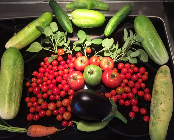 garden haul