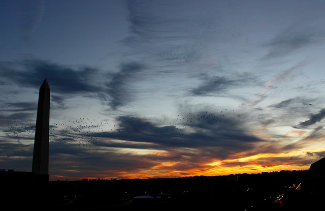 22008611005_c977059b78_z