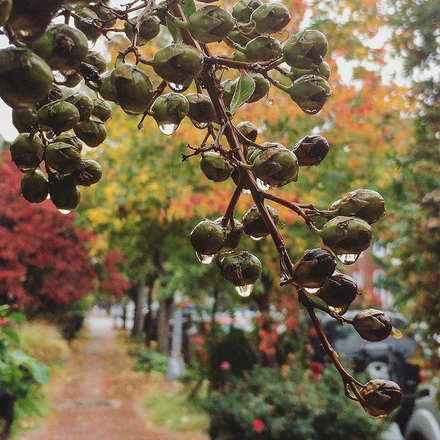 dc_neighborhood_news_popville