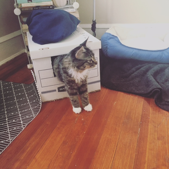 roux