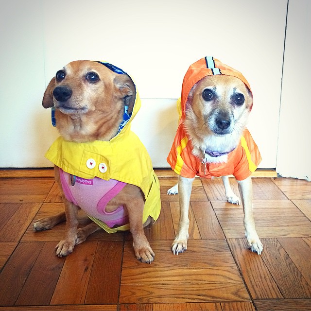 H and J in raincoats