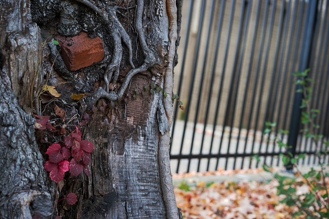 dc_neighborhood_news_popville