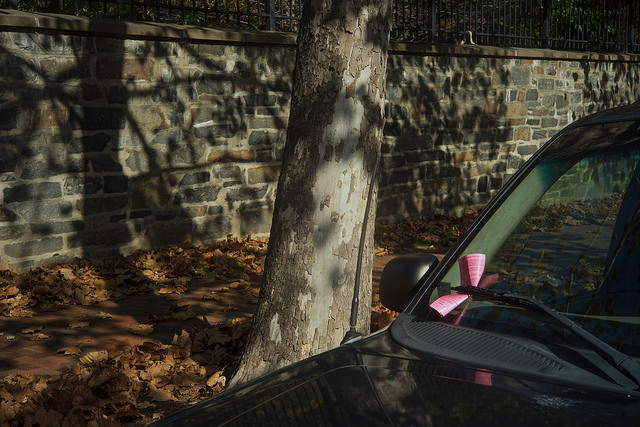 parking tickets