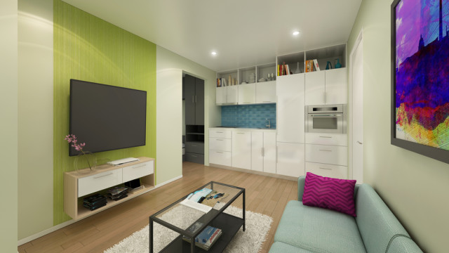 1BR+interior_hires