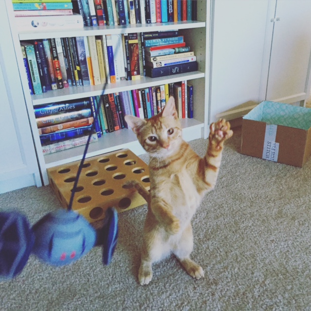 PoP Animal Fix - Oliver Queen