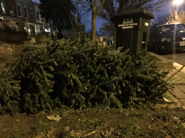 christmas concludes