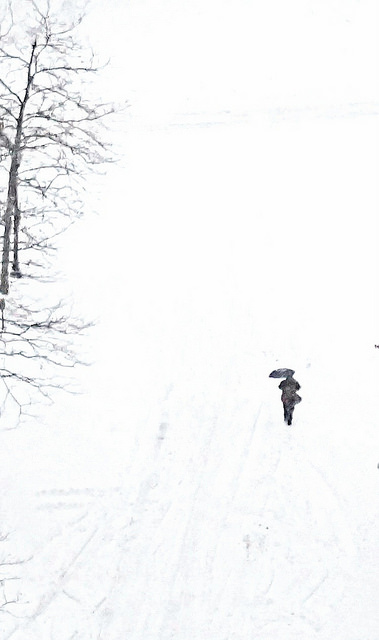 12499764335_5f1c6d5f50_z