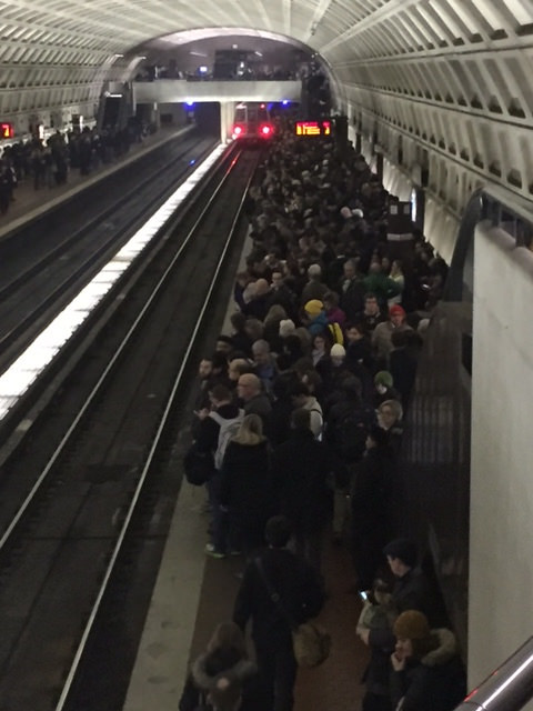 24351604880_c581ff4ce1_z