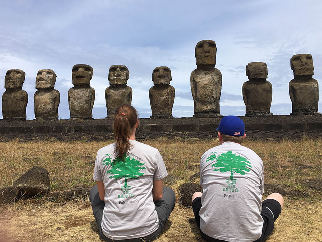 24484208215_6ace22d47e_z