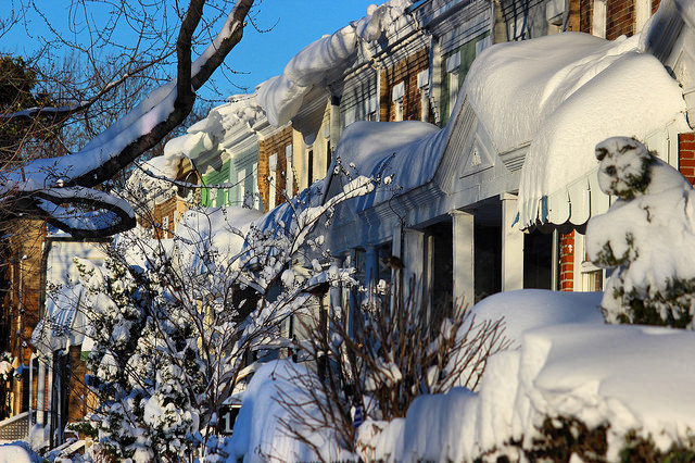 24510840592_4ffba9e228_z