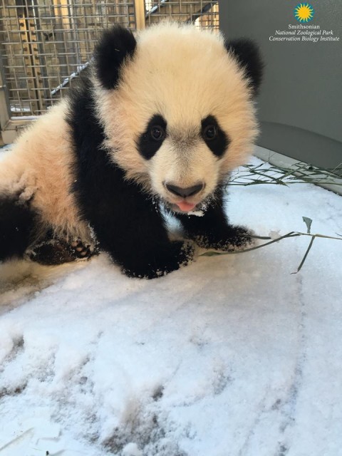 bei bei