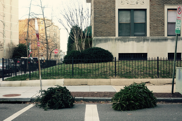 dc_popville_rant_revel