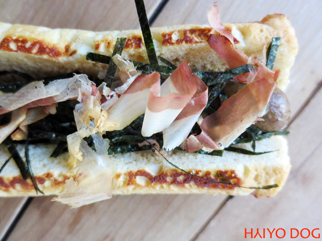 HaiyoDog_Images_dog1