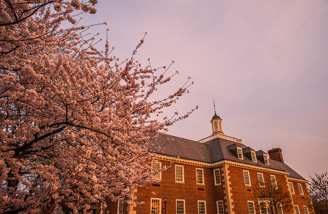 26057132155_9d8ed7d96e_z