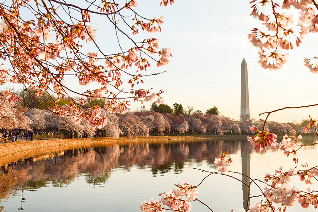 dc_neighborhood_news