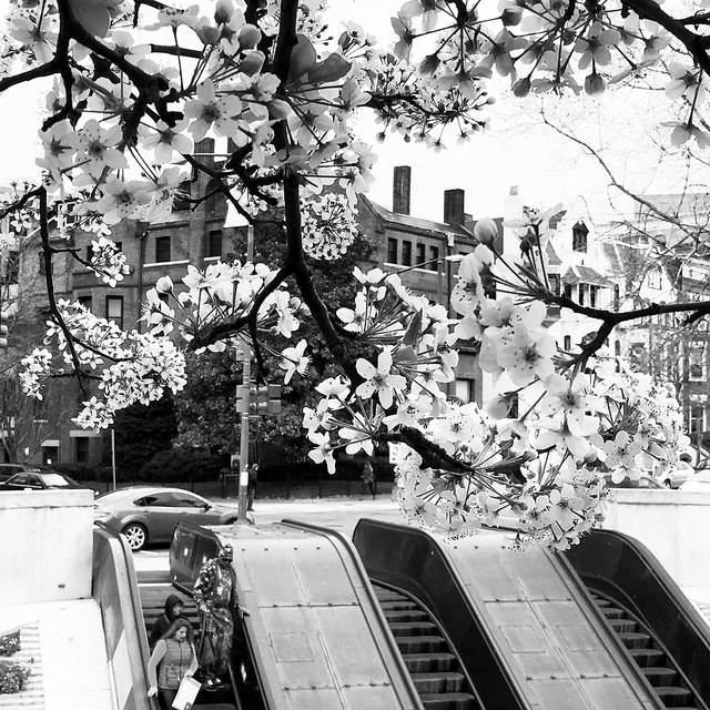 dc_neighborhood_news