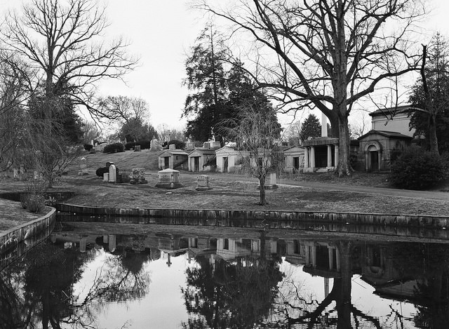 reflections