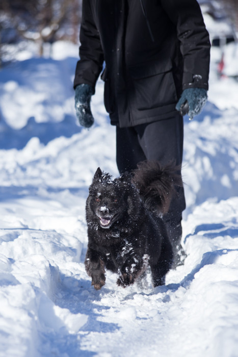 sundaysnowzilla-6