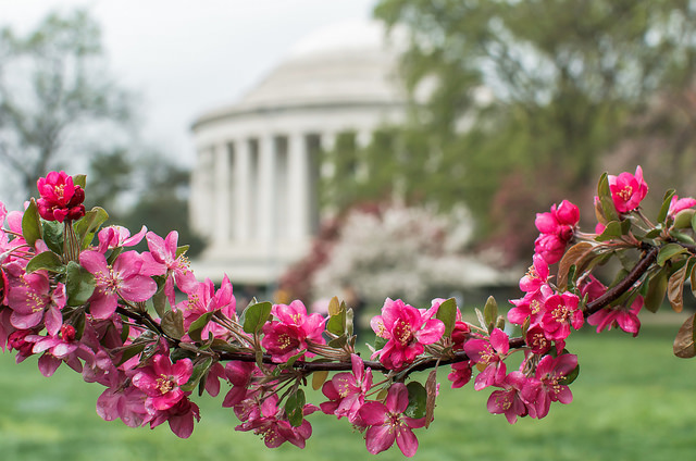 dc_neighborhood_news