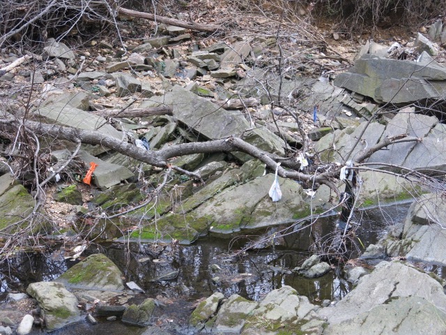rock creek cleanup