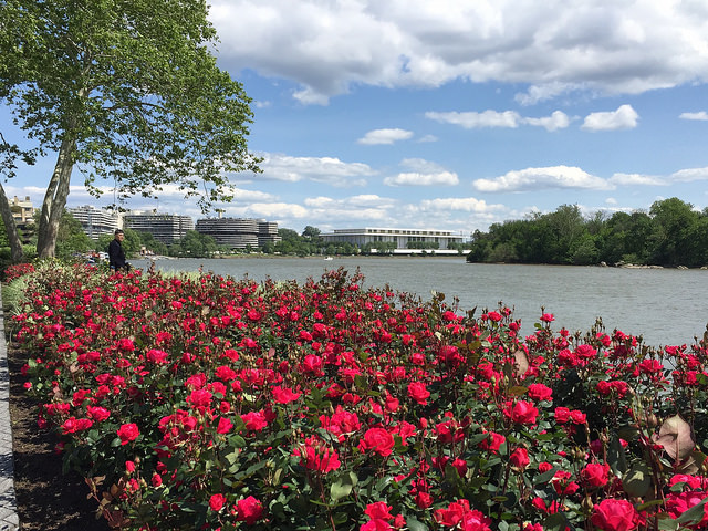 dc_neighborhood_news